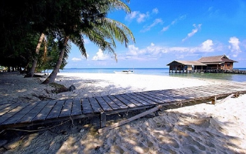  Sensasi Berenang Bersama Hiu di Pulau Karimunjawa