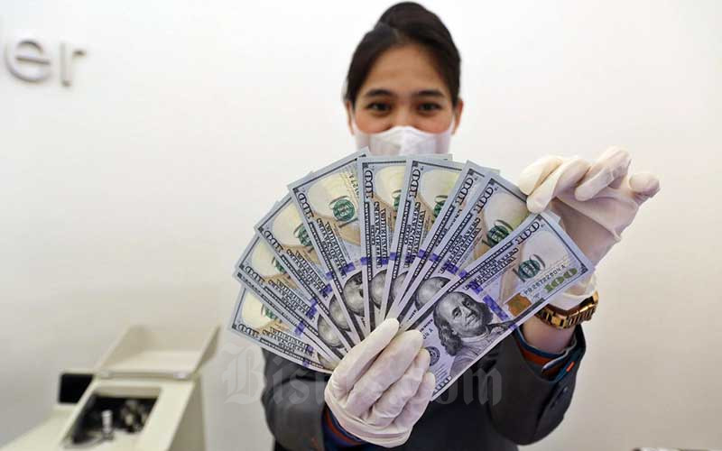 Karyawan menunjukan dolar AS di Jakarta, Rabu (25/11/2020). Bisnis/Eusebio Chrysnamurti