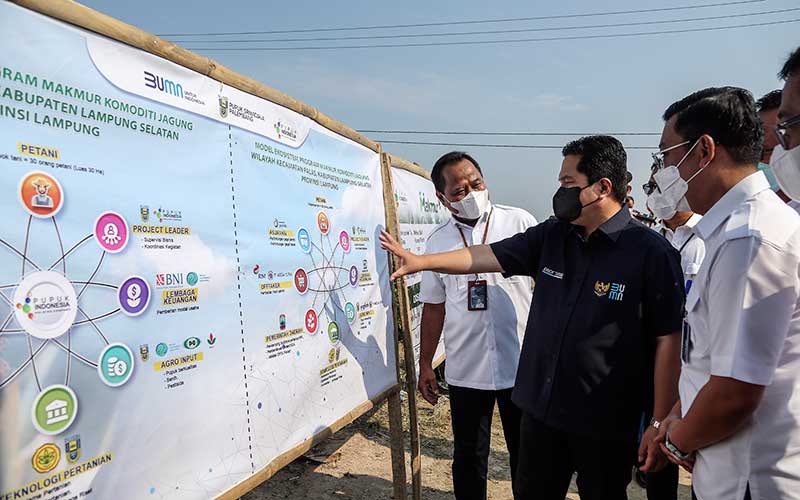  Erick Thohir Tinjau Penanaman Jagung Program Makmur di Lampung