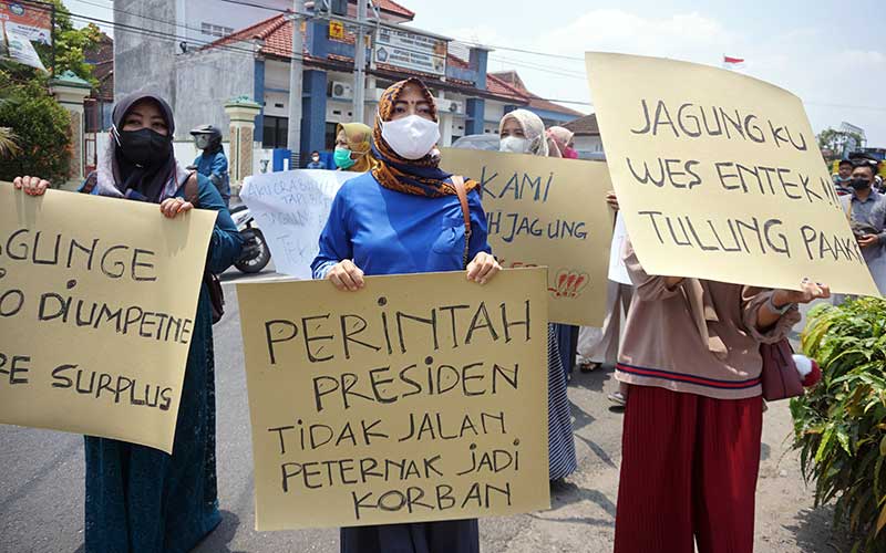  Peternak di Jawa Timur Gelar Unjuk Rasa Menagih Janji Pemerintah Terkait Penyediaan Jagung Dengan Harga Wajar