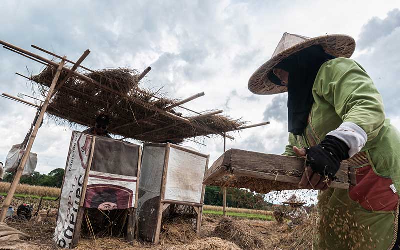  BPS Catat Produksi Padi di Indonesia Meningkat 0,14 Persen Pada Periode Januari-September