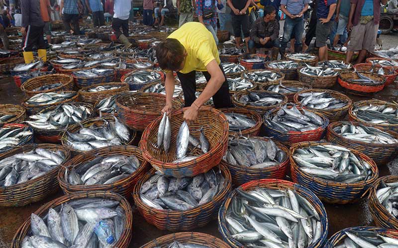  KKP Bersama Lembaga Foodbank of Indonesia Kampanyekan Konsumsi Ikan Untuk Cegah Stunting