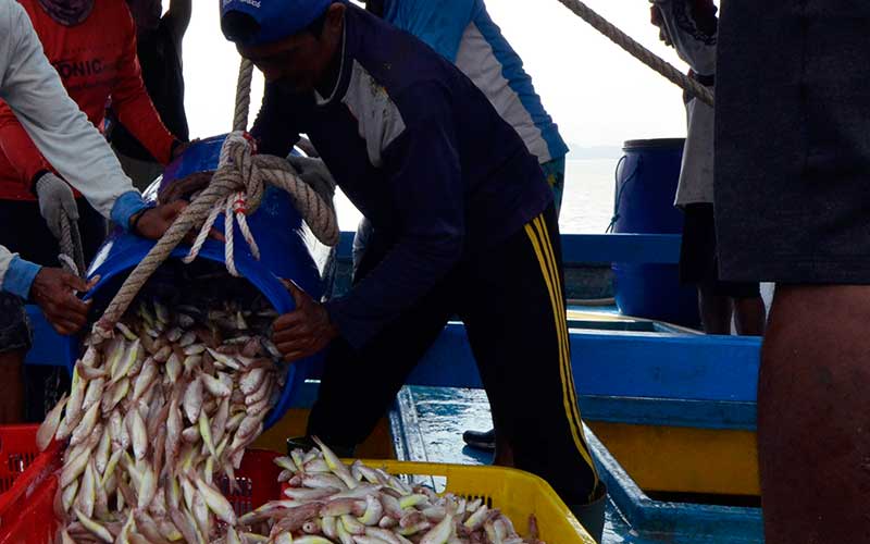  Tangkapan Ikan Nelayan Menurun Akibat Ombak Tinggi