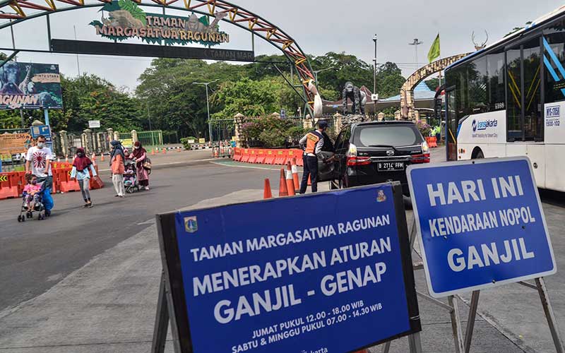  Dishub DKI Jakarta Terapkan Ganjil-Genap di Taman Margasatwa Ragunan