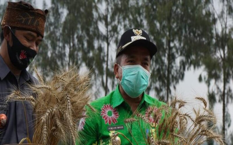  Gandum dan Kentang Granola Kab. Pasuruan Berpotensi Ekspor