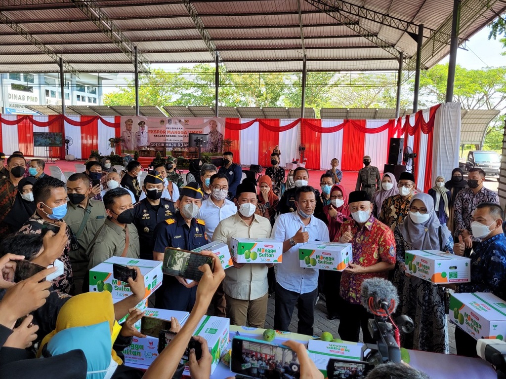  Fasilitasi UMKM, Bea Cukai Gresik Lepas Ekspor Mangga dan Sarang Walet
