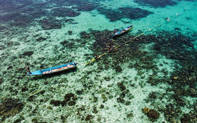  Tradisi Wer Warat di Maluku