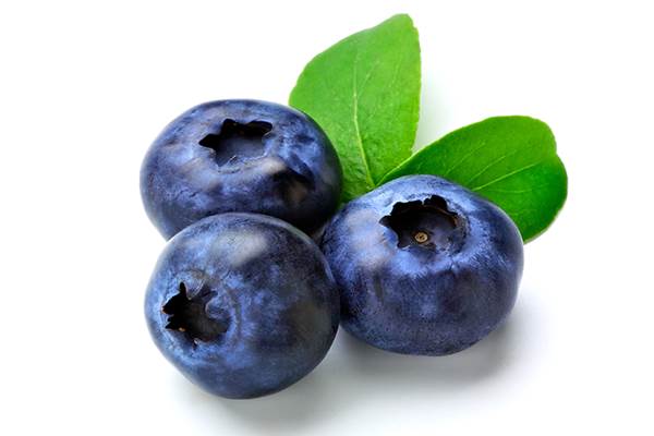  Studi : Jus Blueberry dapat Kurangi Risiko Kanker Kulit