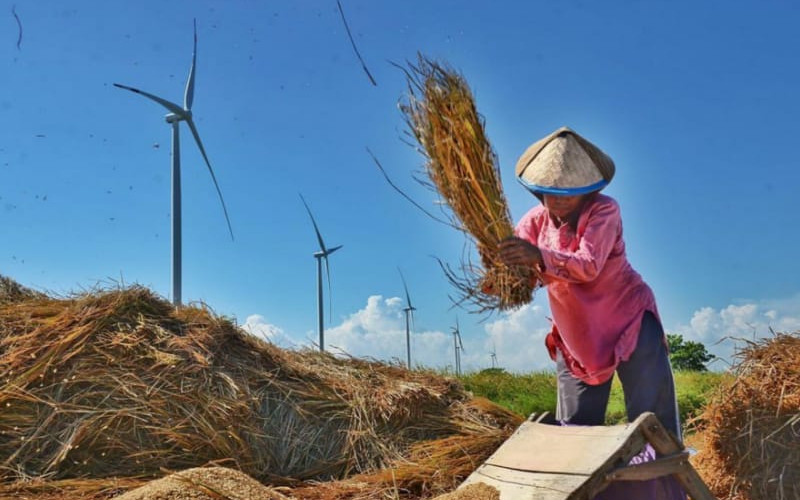  Nilai Tukar Petani Naik per September 2021