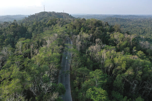 Foto aerial Taman Hutan Raya (Tahura) Bukit Soeharto di Kutai Kartanegara, Kalimantan Timur, Sabtu (31/8/2019). Sebagian dari kawasan yang masuk sebagai hutan konservasi itu nantinya akan digunakan untuk wilayah ibu kota baru./ANTARA FOTO-Akbar Nugroho Gumay