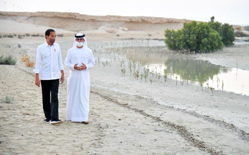 Bertolak ke Dubai Lewat Jalur Darat, Ini Agenda Jokowi