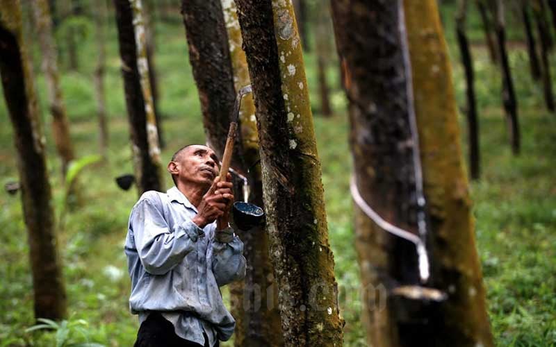  Ekonomi Riau Tumbuh 4,59 Persen di Triwulan III/2021