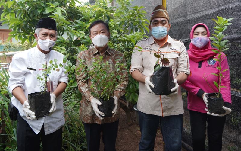 Korindo Kembangkan Kampung Herbal di Jaksel