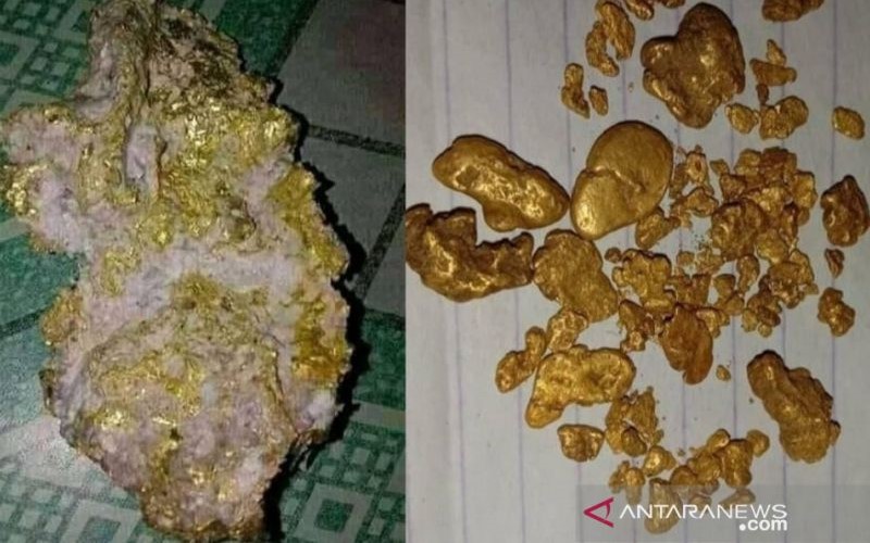 Bongkahan emas yang ditemukan warga Desa Ujan Mas, Kecamatan Sungai Are, Kabupaten Ogan Komering Ulu (OKU) Selatan, Sumatera Selatan, di aliran Sungai Are./ANTARA