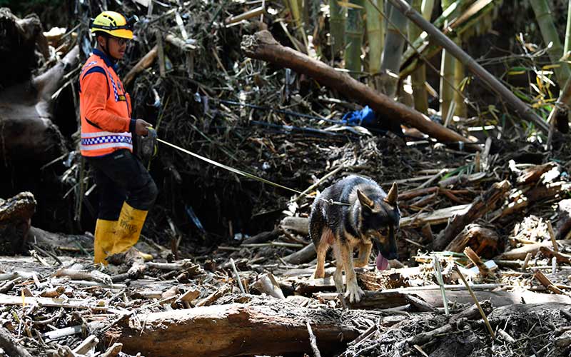  Tim SAR Terjunkan Anjing Pelacak Untuk Mencari Korban Banjir Bandang di Kota Batu