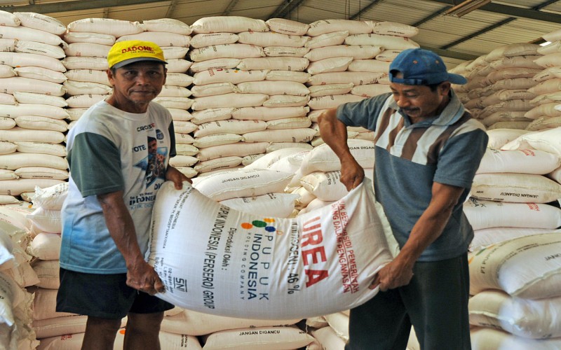  MUSIM TANAM : Pusri Memastikan Ketersediaan Pupuk Bagi Petani