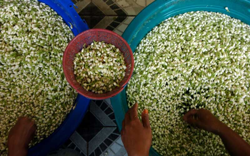  Warga Desa Kaliprau Berharap Industrialisasi Melati