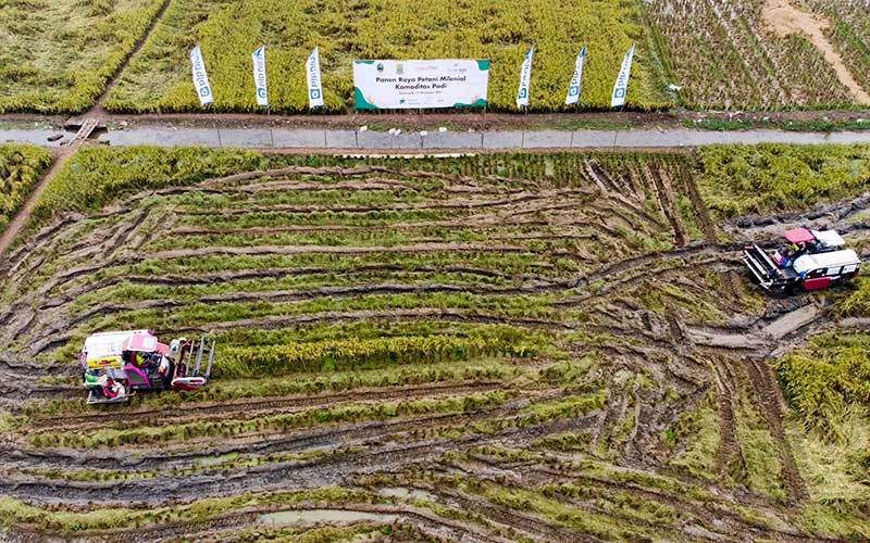  Panen Raya Petani Melenial di Karawang Jawa Barat