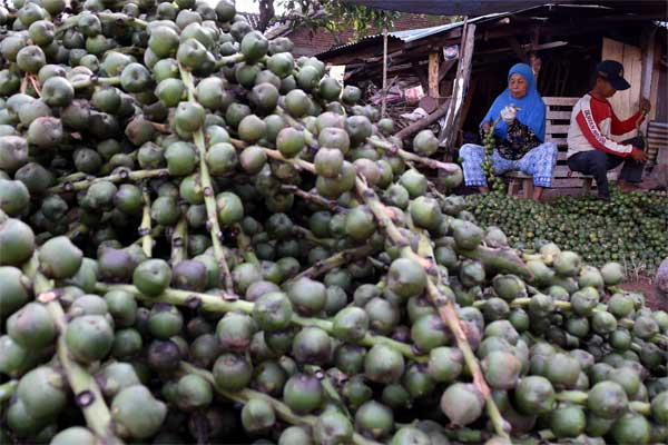  Kota Semarang Bakal Kembangkan Agrowisata di Gunungpati