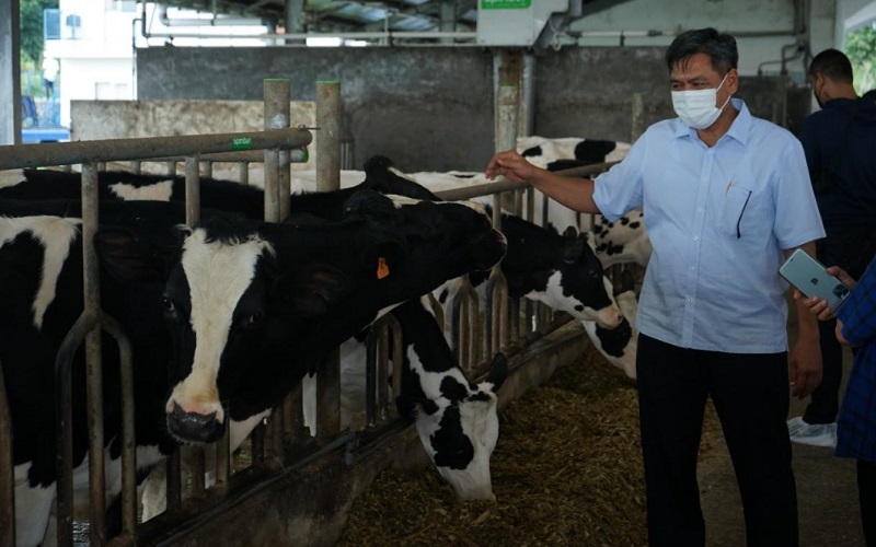  Kemenperin Dukung Peningkatan Produksi Bahan Baku Susu Katrol Pertumbuhan Sektor Industri Agro