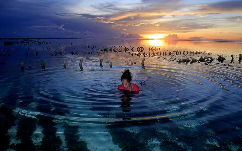  Banyak Permintaan, Harga Rumput Laut di NTT Naik