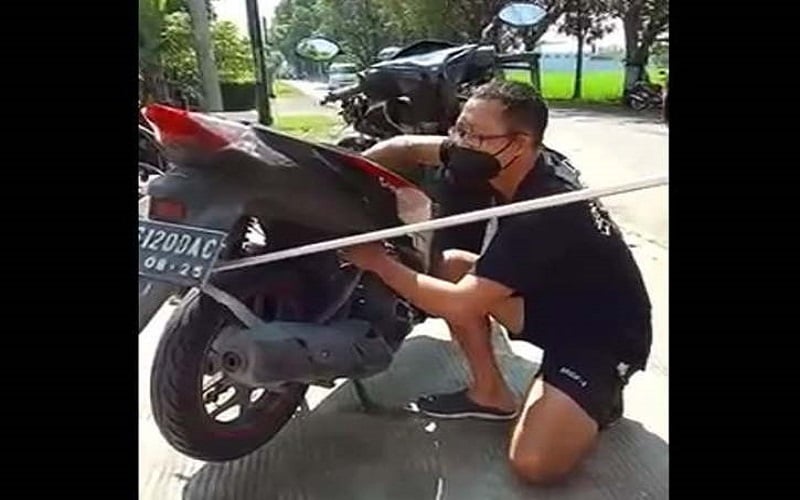  Ular Kobra Sembunyi di Sepeda Motor, Pengemudi Terkejut Saat Hendak Isi Bensin