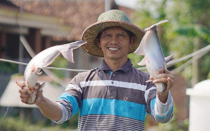  Ada Festival Makan Ikan dalam Rangka Hari Ikan Nasional