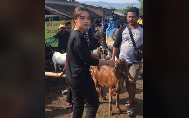  Viral, Video Mahasiswi asal Wonogiri Jadi Belantik, Ini Pengakuannya