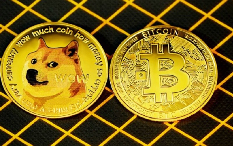 Koin kripto Shiba Inu dan Bitcoin/chroniclelive.co.uk