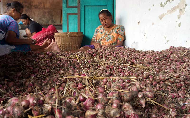  Dilanda Banjir, Harga Bawang Merah di Jawa Timur Turun Hingga Rp5.000 Per Kilogram