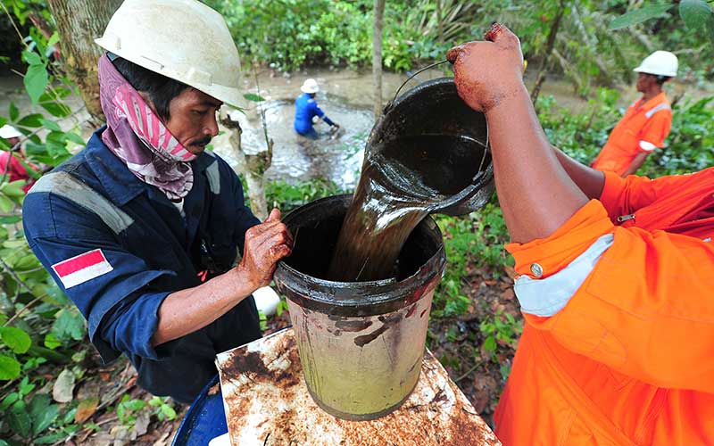  Kebocoran Pipa Minyak Pertamina Cemari Saluran Air Warga di Jambi