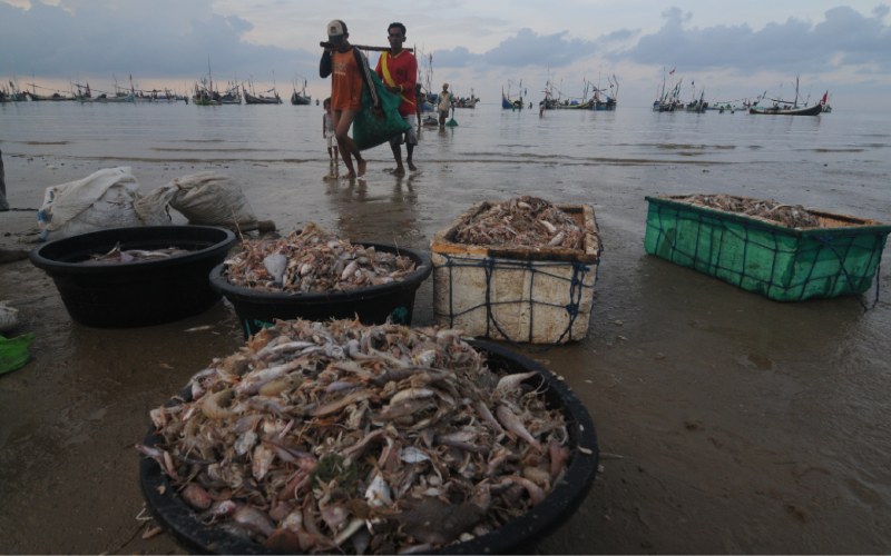  Jatim Siap Fasilitasi Investor Pelabuhan Ikan