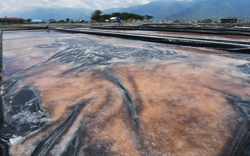  Produksi Garam Jatim Turun 50 Persen