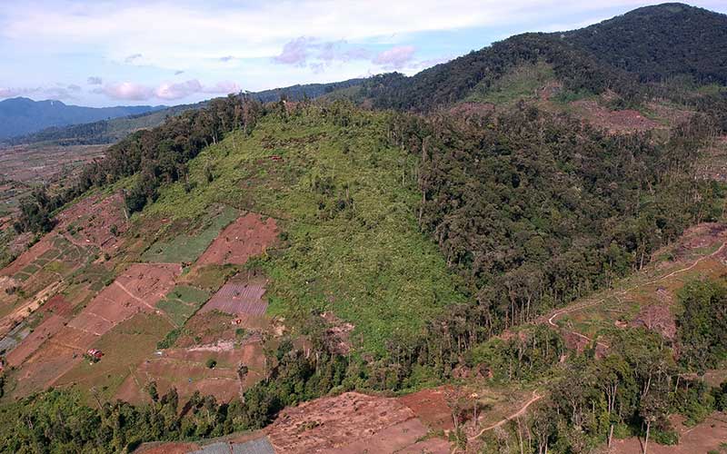  Banyak Ladang Ilegal di Kawasan Taman Nasional Kerinci Seblat