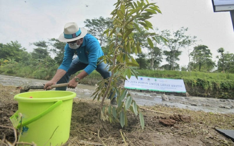  Ridwan Kamil Bersama Bupati dan Wali Kota di Jabar Tanam 10 Juta Pohon