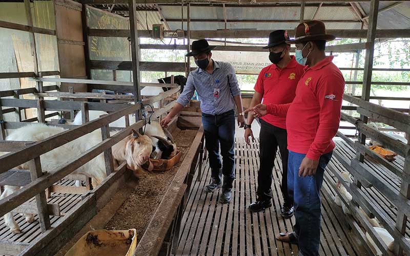  UMKM Peternakan & Kuliner di Sangatta, Kalimantan TimurTetap Eksis Sepanjang Pandemi