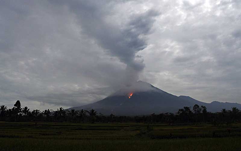  Ngeri! BNPB Alami Gangguan saat Evakuasi Gunung Semeru Meletus