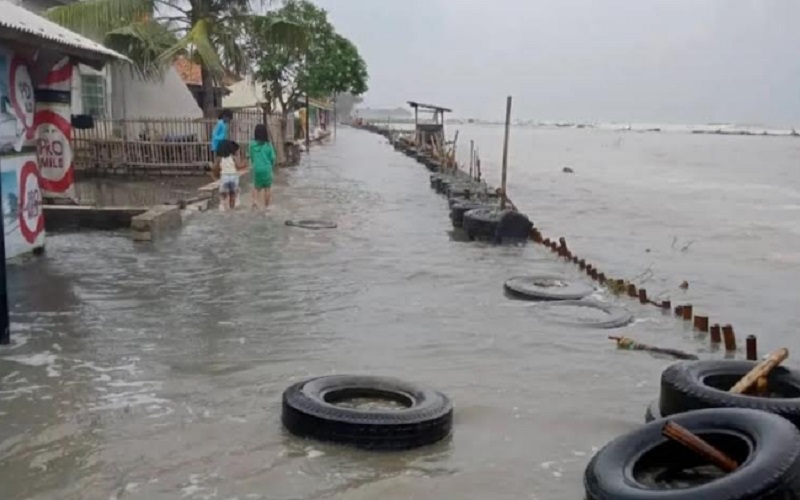  400 Rumah dan 740 Hektare Tambak Ikan Siap Panen di Karawang Terendam Banjir Rob