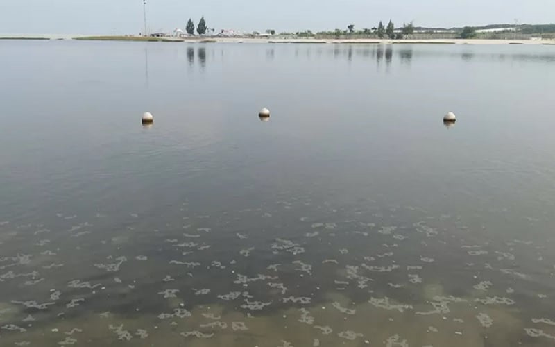  Banjir Rob Ancol, Wagub DKI Pastikan Tanggul Jebol Telah Diperbaiki