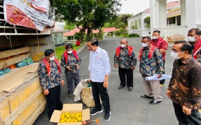  Hari Antikorupsi Sedunia, Mengapa Jokowi Tak Laporkan Hadiah Jeruk 3 Ton ke KPK?