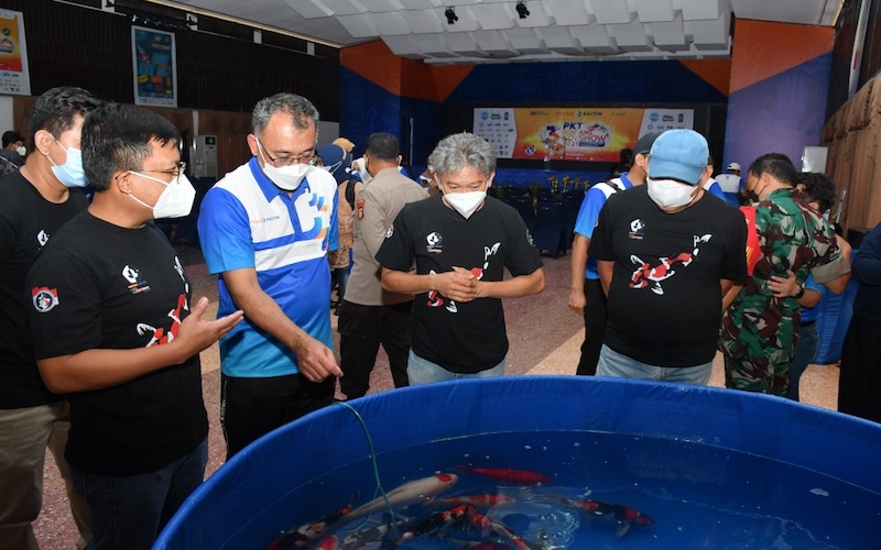  Capai 1.200 Pendaftar, PKT Bontang KOI Show 2021 Cetak Sejarah Peserta Tertinggi di Kalimantan