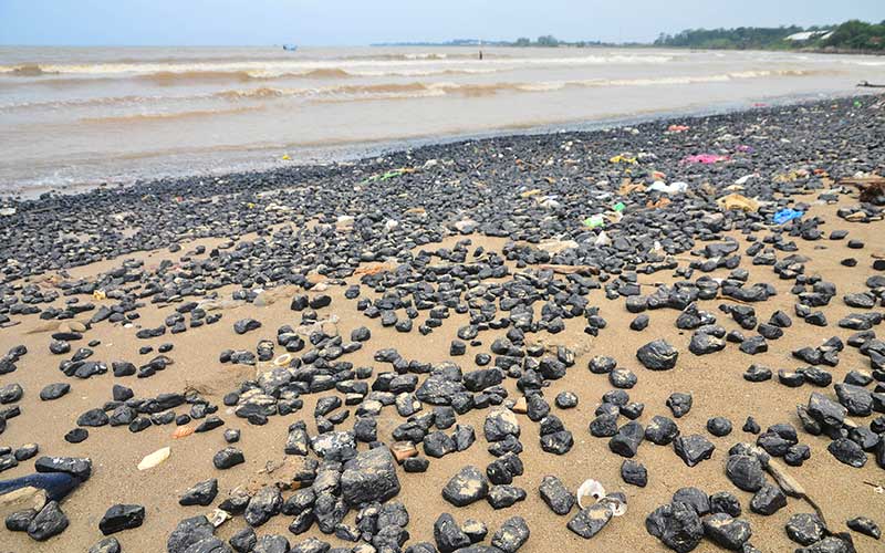  Satu Tahun Lebih Pantai di Jepara Tercemar Batu Bara