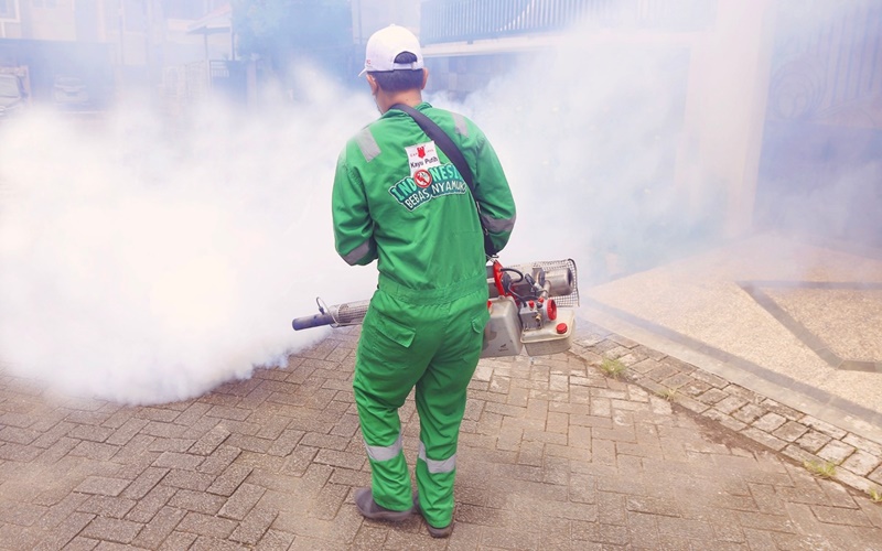 Manfaat Fogging untuk Pencegahan DBD
