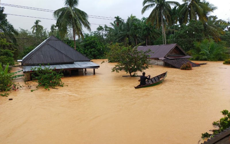  Faktor Kerusakan Lingkungan di Balik Bencana Banjir Mandailing Natal