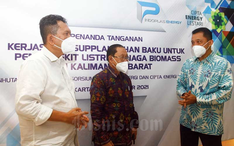  Sinergi Pembangunan Tanaman Industri Kayu Energi Atau Biomassa