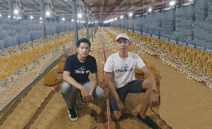  Aplikasi Smart Farm Ini Bantu Peternakan Ayam Broiler Lebih Efisien