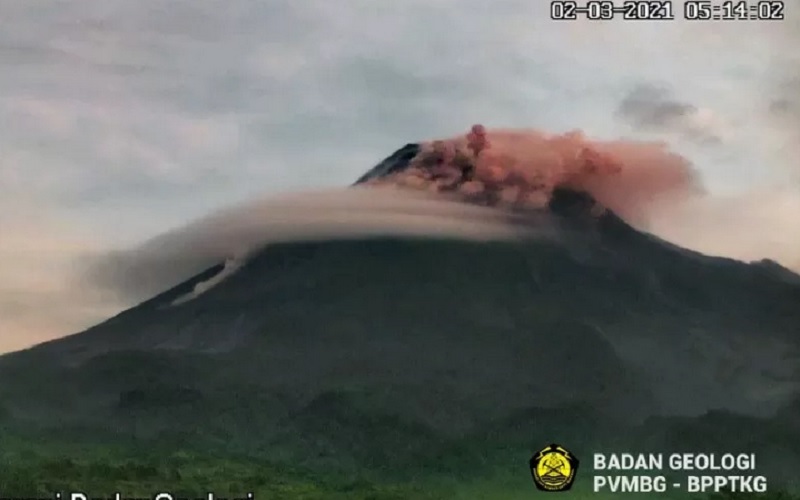  Gunung Merapi Empat Kali Muntahkan Awan Panas dalam Sepekan, Kubah Lava Naik 2 Meter