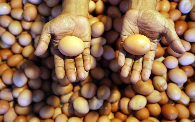  Harga Telur Meroket Jelang Tahun Baru, Tembus Rp30.000 per Kilogram