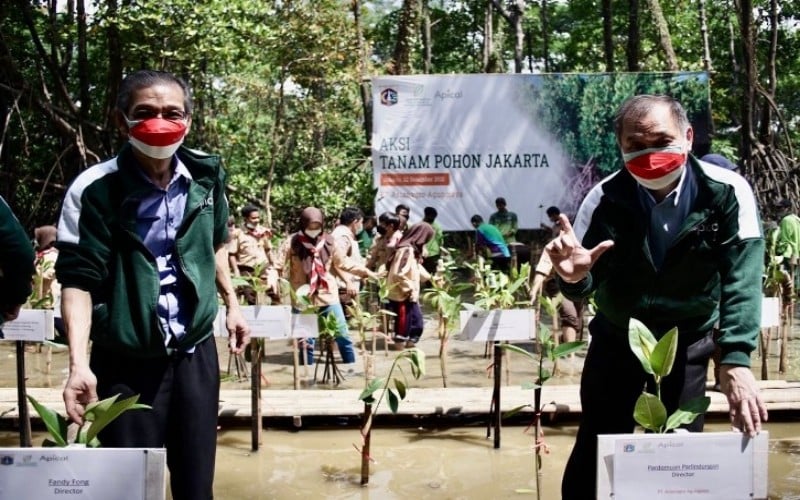  Apical Group Bersama Pemda Selamatkan Mangrove di DKI Jakarta