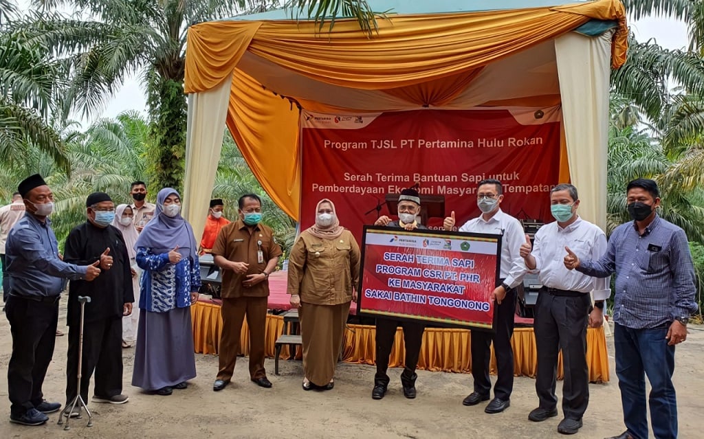  Dorong Kemandirian Warga Sakai, PHR WK Rokan Serahkan Bantuan Sapi